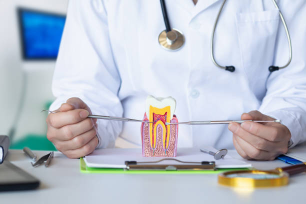Best Emergency Dentist for Knocked-Out Tooth in Elk Plain, WA